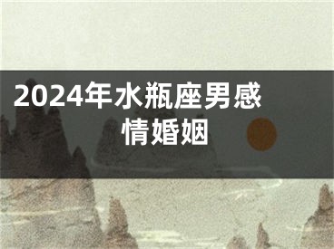 2024年水瓶座男感情婚姻