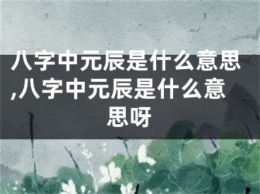 八字中元辰是什么意思,八字中元辰是什么意思呀