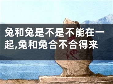 兔和兔是不是不能在一起,兔和兔合不合得来
