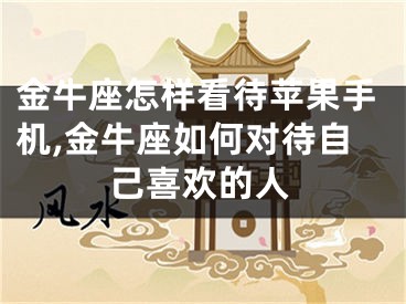 金牛座怎样看待苹果手机,金牛座如何对待自己喜欢的人