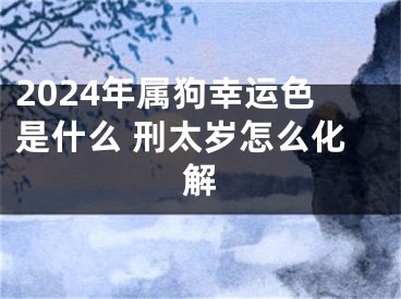 2024年属狗幸运色是什么 刑太岁怎么化解