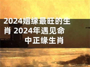 2024姻缘最旺的生肖 2024年遇见命中正缘生肖