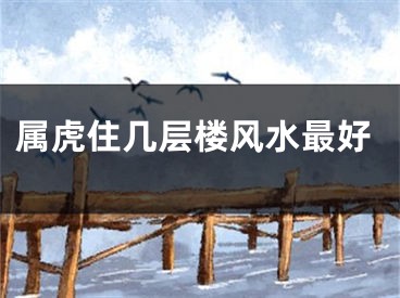 属虎住几层楼风水最好