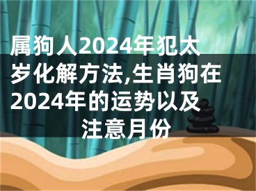 属狗人2024年犯太岁化解方法,生肖狗在2024年的运势以及注意月份