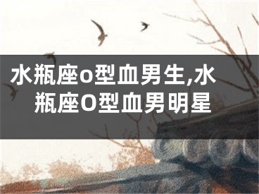 水瓶座o型血男生,水瓶座O型血男明星