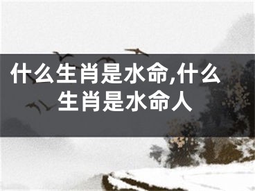 什么生肖是水命,什么生肖是水命人