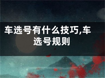 车选号有什么技巧,车选号规则