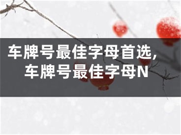 车牌号最佳字母首选,车牌号最佳字母N