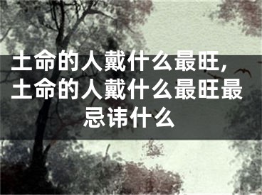 土命的人戴什么最旺,土命的人戴什么最旺最忌讳什么