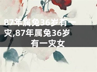 87年属兔36岁有一灾,87年属兔36岁有一灾女