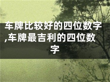 车牌比较好的四位数字,车牌最吉利的四位数字
