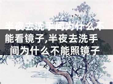 半夜去洗手间为什么不能看镜子,半夜去洗手间为什么不能照镜子