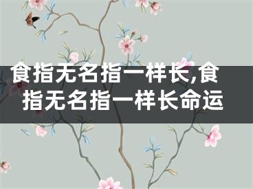 食指无名指一样长,食指无名指一样长命运