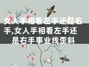 女人手相看左手还是右手,女人手相看左手还是右手事业线歪斜