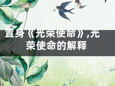 置身《光荣使命》,光荣使命的解释