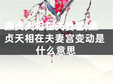 廉贞天相在夫妻宫,廉贞天相在夫妻宫变动是什么意思