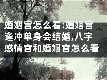 婚姻宫怎么看:婚姻宫逢冲单身会结婚,八字感情宫和婚姻宫怎么看