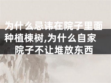 为什么忌讳在院子里面种植楝树,为什么自家院子不让堆放东西