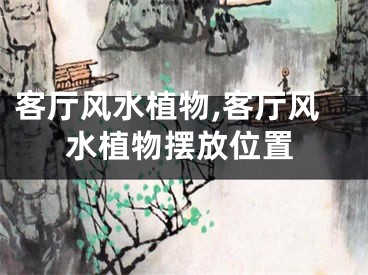 客厅风水植物,客厅风水植物摆放位置