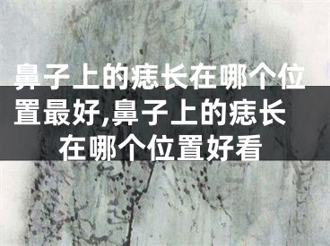 鼻子上的痣长在哪个位置最好,鼻子上的痣长在哪个位置好看