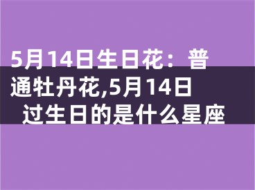 5月14日生日花：普通牡丹花,5月14日过生日的是什么星座