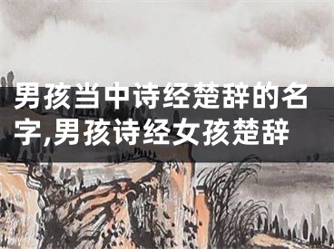 男孩当中诗经楚辞的名字,男孩诗经女孩楚辞