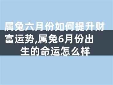 属兔六月份如何提升财富运势,属兔6月份出生的命运怎么样