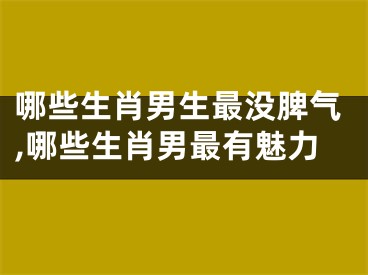 哪些生肖男生最没脾气,哪些生肖男最有魅力