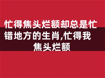 忙得焦头烂额却总是忙错地方的生肖,忙得我焦头烂额