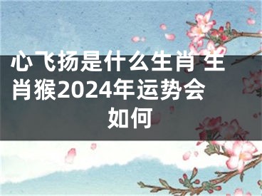 心飞扬是什么生肖 生肖猴2024年运势会如何