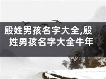 殷姓男孩名字大全,殷姓男孩名字大全牛年