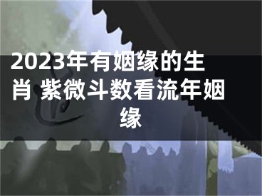 2023年有姻缘的生肖 紫微斗数看流年姻缘
