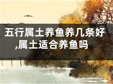 五行属土养鱼养几条好,属土适合养鱼吗