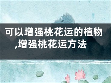 可以增强桃花运的植物,增强桃花运方法