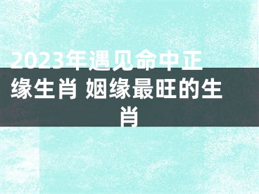 2023年遇见命中正缘生肖 姻缘最旺的生肖