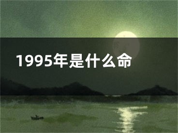 1995年是什么命