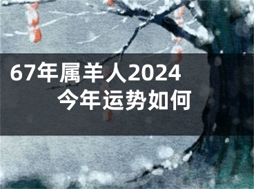 67年属羊人2024今年运势如何