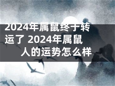 2024年属鼠终于转运了 2024年属鼠人的运势怎么样