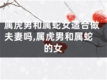 属虎男和属蛇女适合做夫妻吗,属虎男和属蛇的女