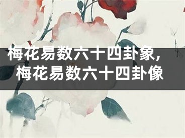 梅花易数六十四卦象,梅花易数六十四卦像
