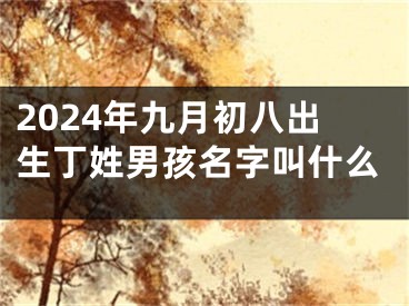 2024年九月初八出生丁姓男孩名字叫什么