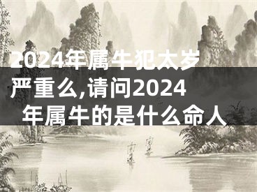 2024年属牛犯太岁严重么,请问2024年属牛的是什么命人