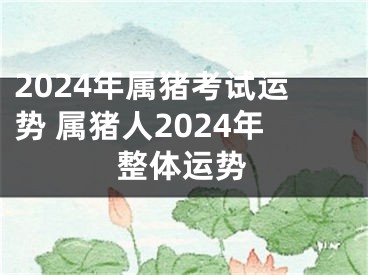 2024年属猪考试运势 属猪人2024年整体运势