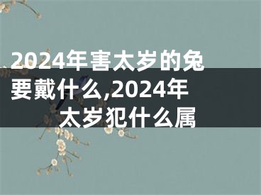 2024年害太岁的兔要戴什么,2024年太岁犯什么属