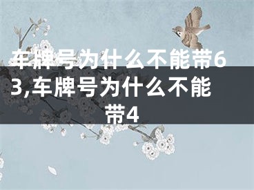 车牌号为什么不能带63,车牌号为什么不能带4