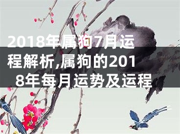 2018年属狗7月运程解析,属狗的2018年每月运势及运程