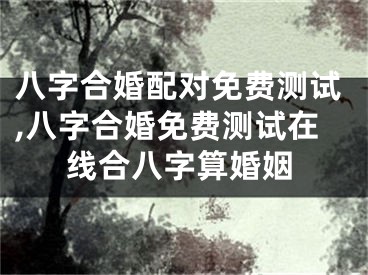 八字合婚配对免费测试,八字合婚免费测试在线合八字算婚姻