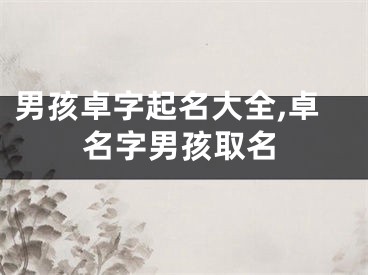 男孩卓字起名大全,卓名字男孩取名