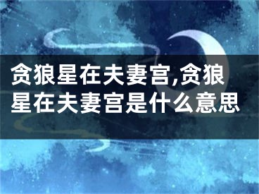 贪狼星在夫妻宫,贪狼星在夫妻宫是什么意思