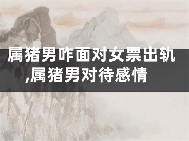 属猪男咋面对女票出轨,属猪男对待感情